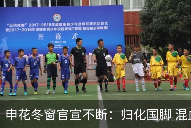 申花冬窗官宣不断：归化国脚 混血前锋 教练组有新人